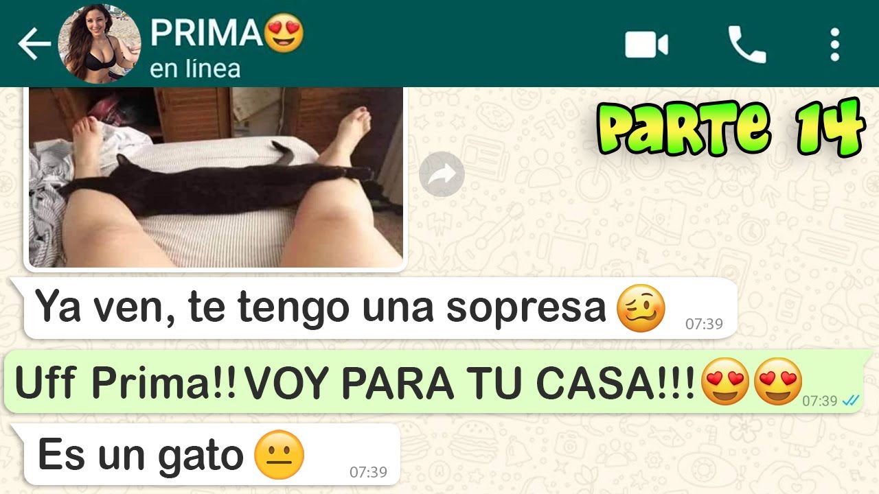 Las 10 Conversaciones de WhatsApp MAS GRACIOSAS de la Historia (Parte 14)