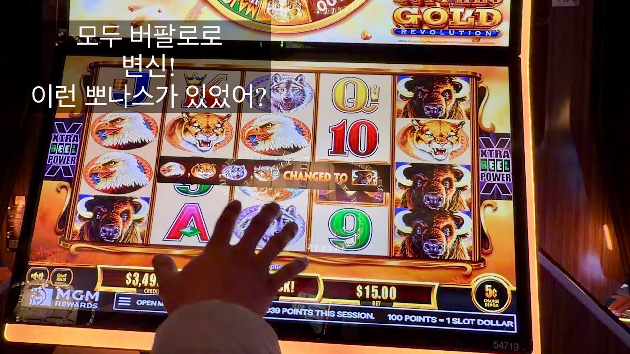 라스베가스 카지노 슬롯머신 5탄,  아재찾아 300미터..슬롯 종류의 끝은 어디야? 역시 버팔로 재밌네?