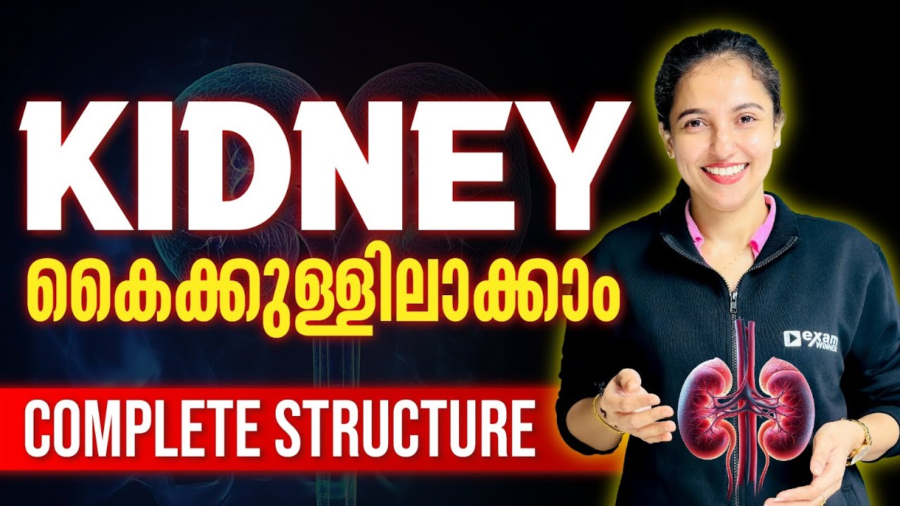 Class 9 Biology | Respiration And Excretion | Complete Structure Of Kidney | Exam Winner