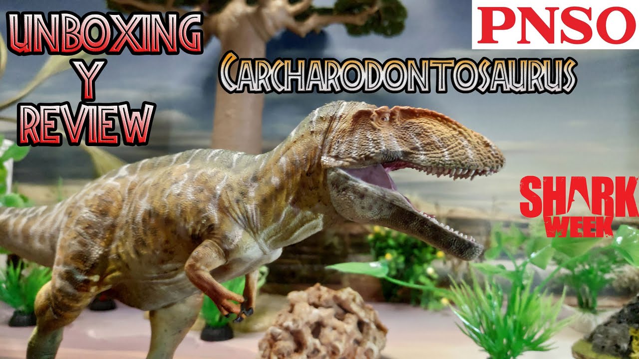 UNBOXING Y REVIEW CARCHARODONTOSAURUS DINOSAURIOS!!! \\ GRTOYS X HAOLONGGOOD