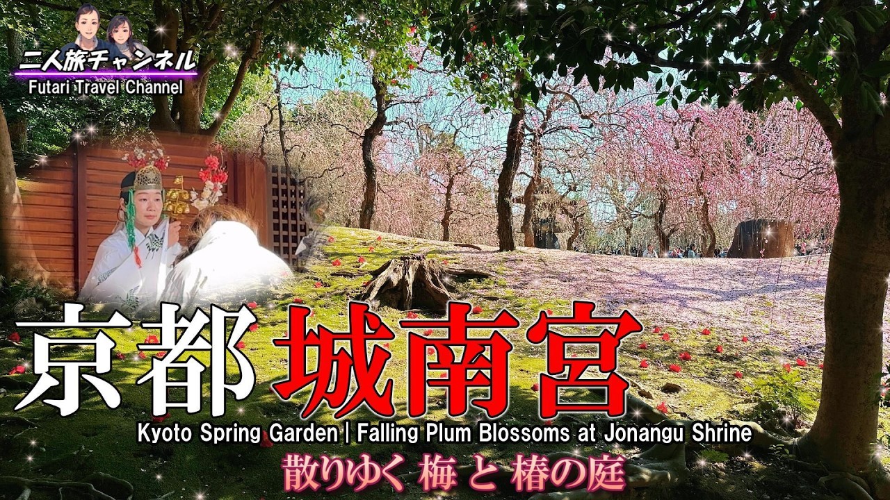 京都の旅｜城南宮「散りゆく梅 と 椿の庭」・名物「おせき餅」・春めき桜