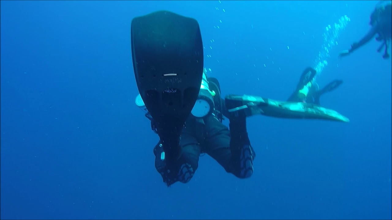 Scuba diving trip