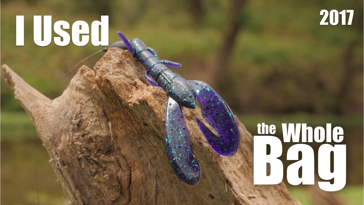 Bass Fishing- I Used the Whole Bag (2017)