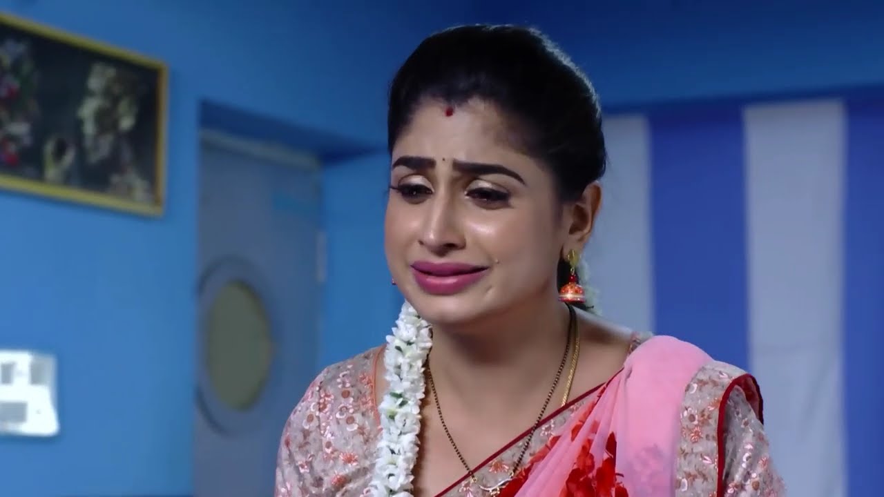 Akka Chellellu - Ep 447 - V. B. Rajendra Prasad - Telugu Tv Serial - Zee5 Telugu Classics