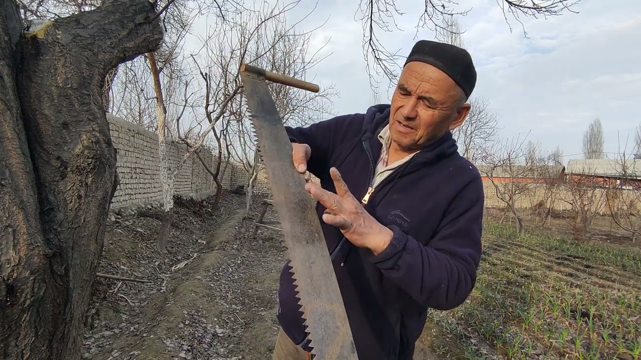Кура, катак, жоду, кайчи, сотилади.
