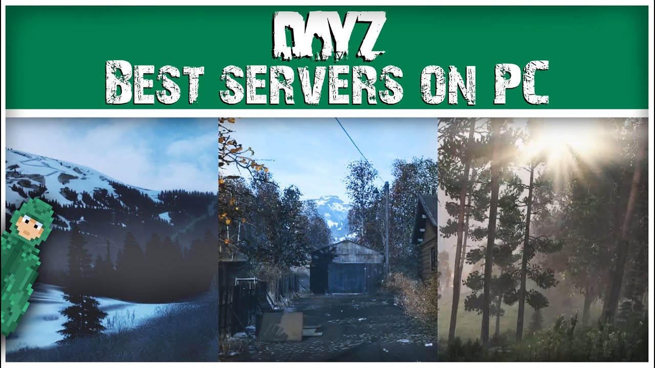 Абсолютно ЛУЧШИЕ ПК-серверы для DayZ | 2025