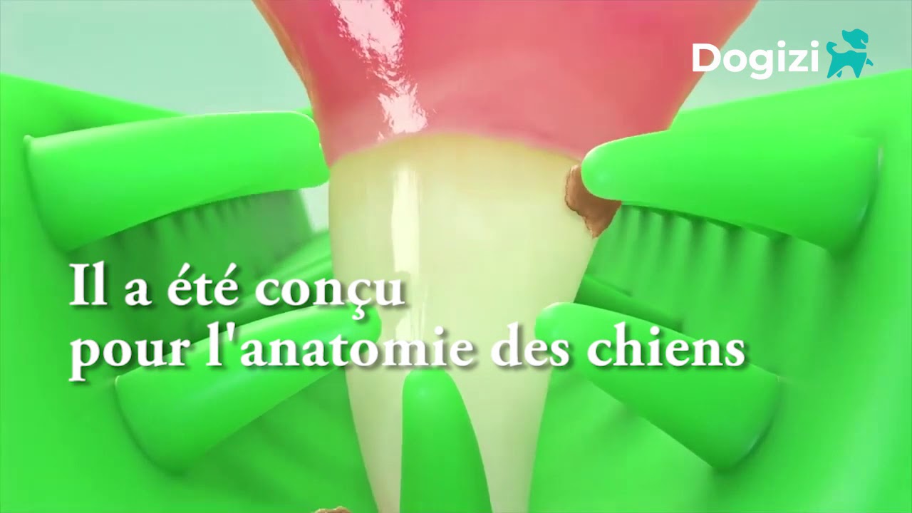 La brosse &agrave; dents jouet pour garder les dents propres !720p md2