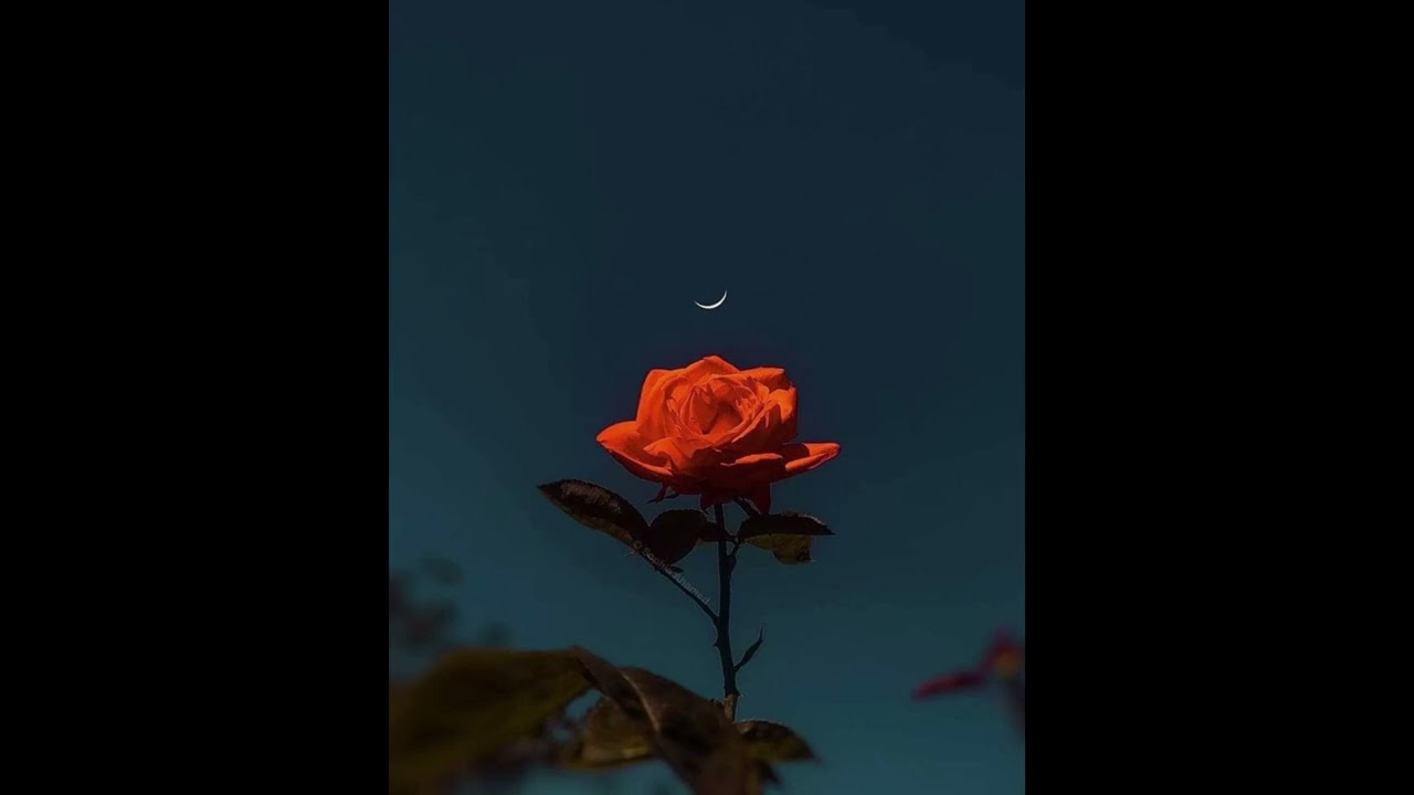 (free) alternative rock, indie pop type beat - 