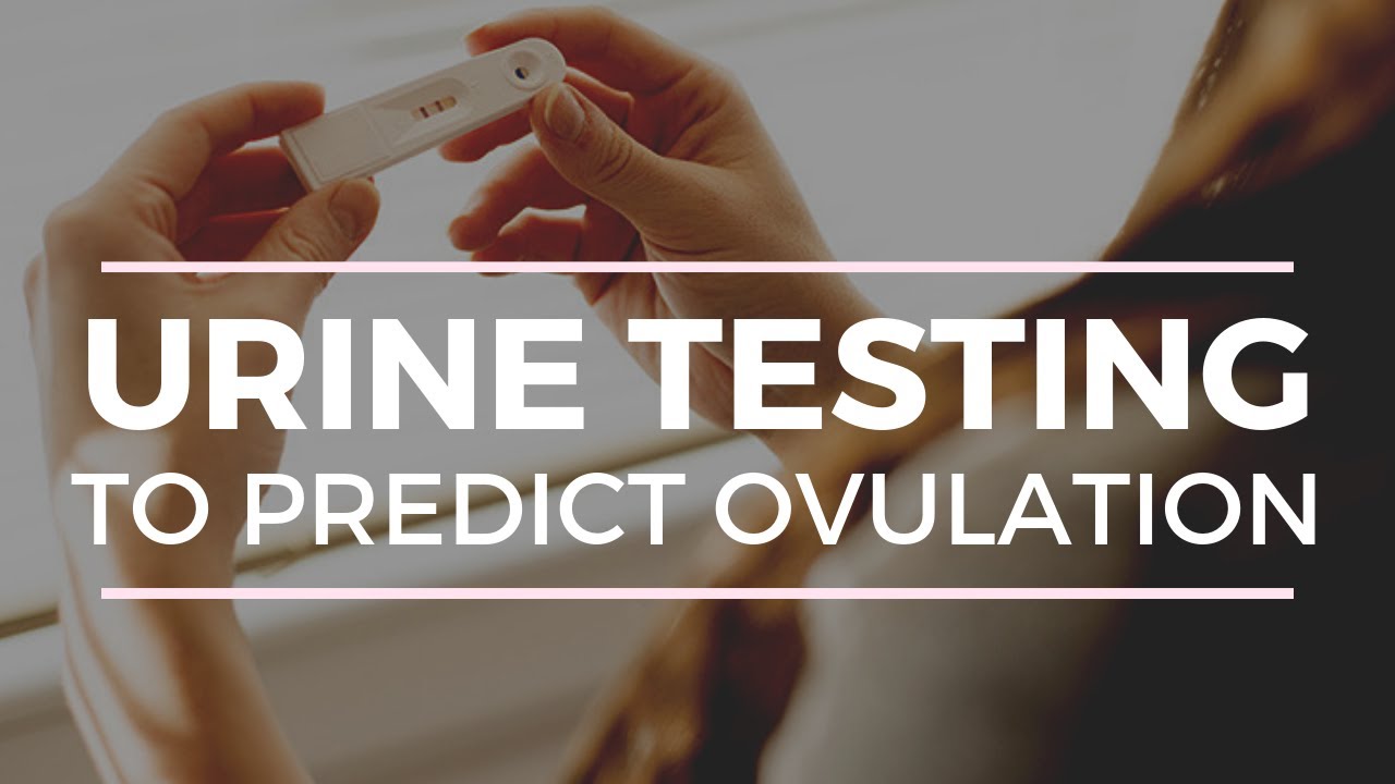 URINE OVULATION TESTS (OPK's) EVERYTHING YOU NEED TO KNOW!