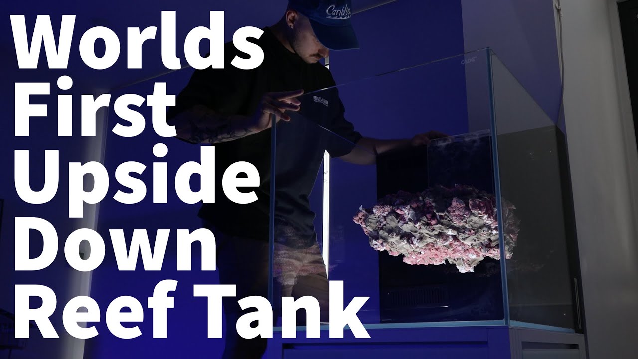 Upside Down Reef Aquarium, Building the Aquascape