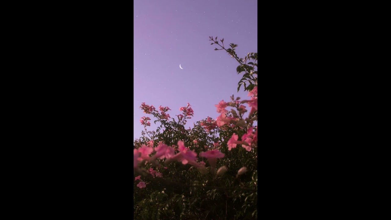 Tove Lo - Imaginary Friend (Slowed + Reverb)
