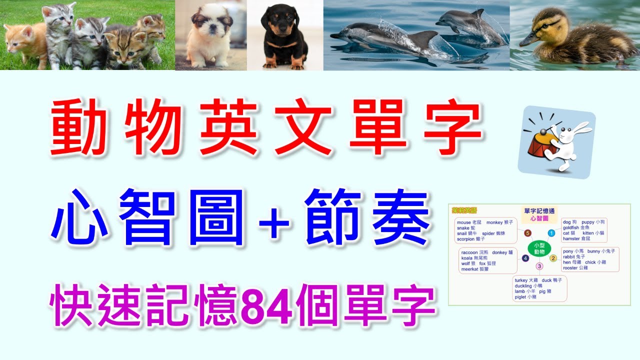 動物英文單字-獨創的節奏心智圖，好念好記好有趣，打著節拍，跟著接奏，6分鐘輕鬆又快速的記憶最常見的動物英文單字。