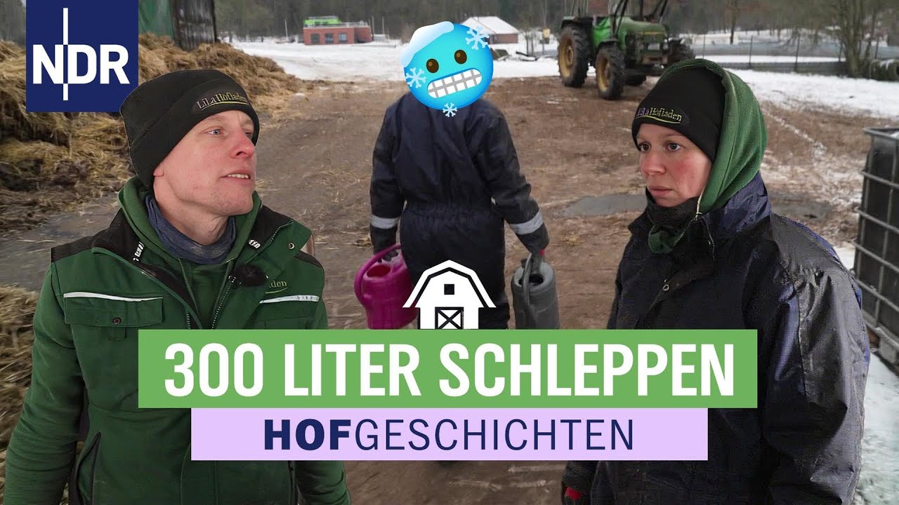 Die Tränken sind eingefroren - Roomservice für die Schweine | Hofgeschichten (367) | NDR