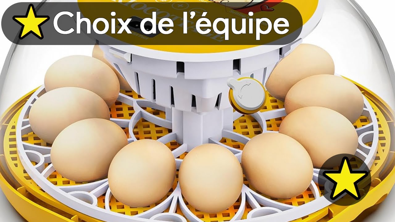 ❤️ TOP 3 MEILLEUR COUVEUSE A OEUF AUTOMATIQUE 2025