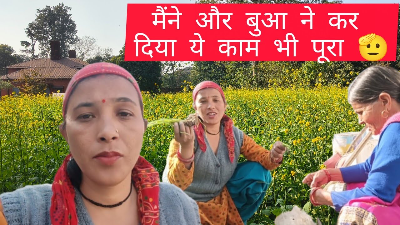  बुआ और मैंने मिलकर कर दिया ये काम भी बहुत टेंशन हो रखी थी || #lifestylevlog #saritanegiuttrakhandi 