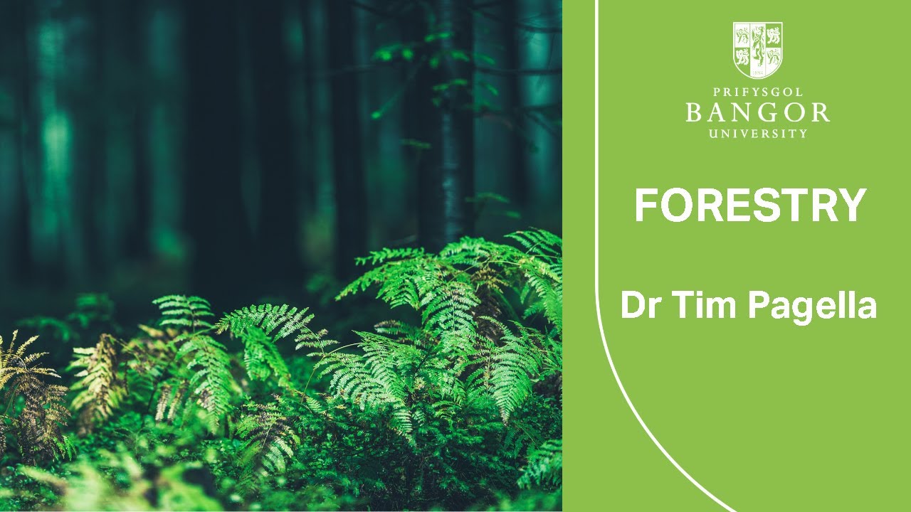 Forestry - Dr Tim Pagella