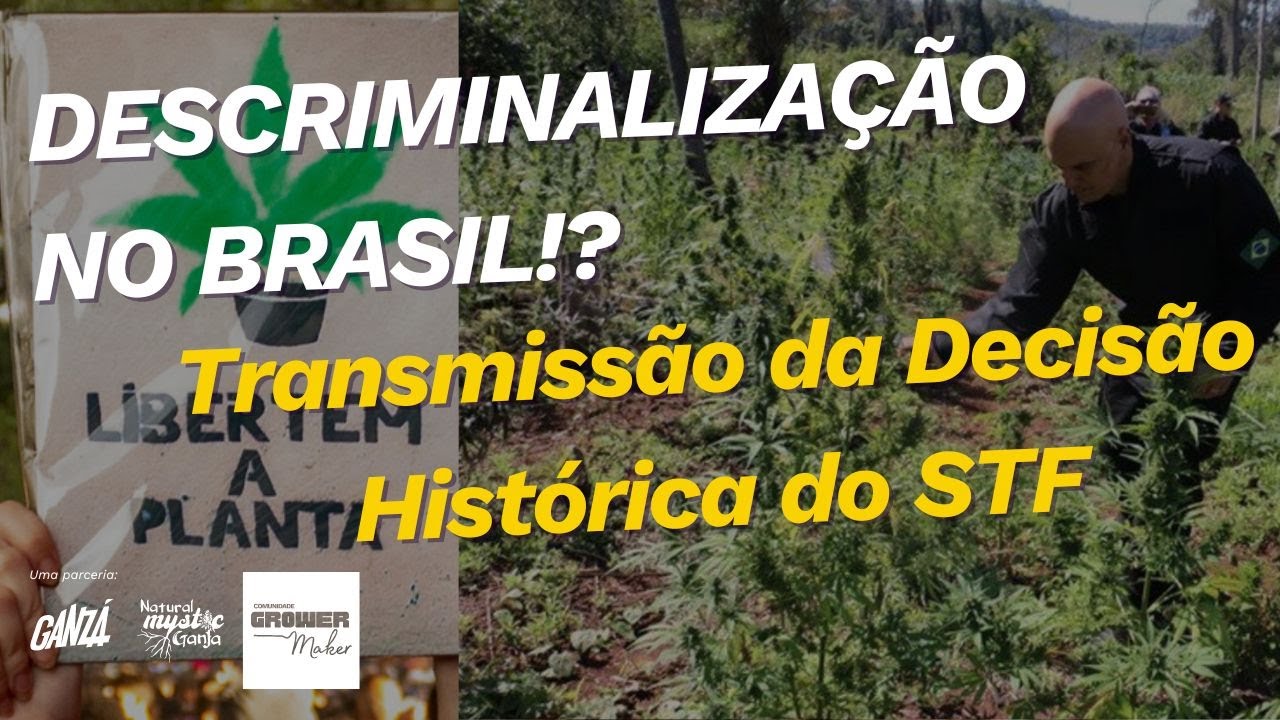 STF Descriminaliza as Drogas!?! Do Tabu &agrave; Liberdade: Acompanhe ao vivo com a gente