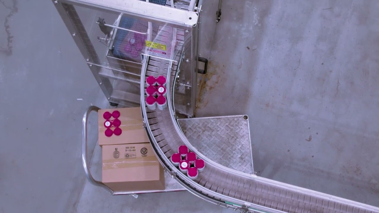 Colonial Brewery Case Study - Fibre King