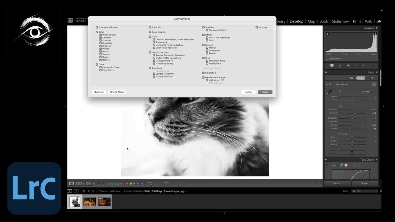 Lightroom Classic &ndash; How to Copy and Paste Settings Between Multiple Photos