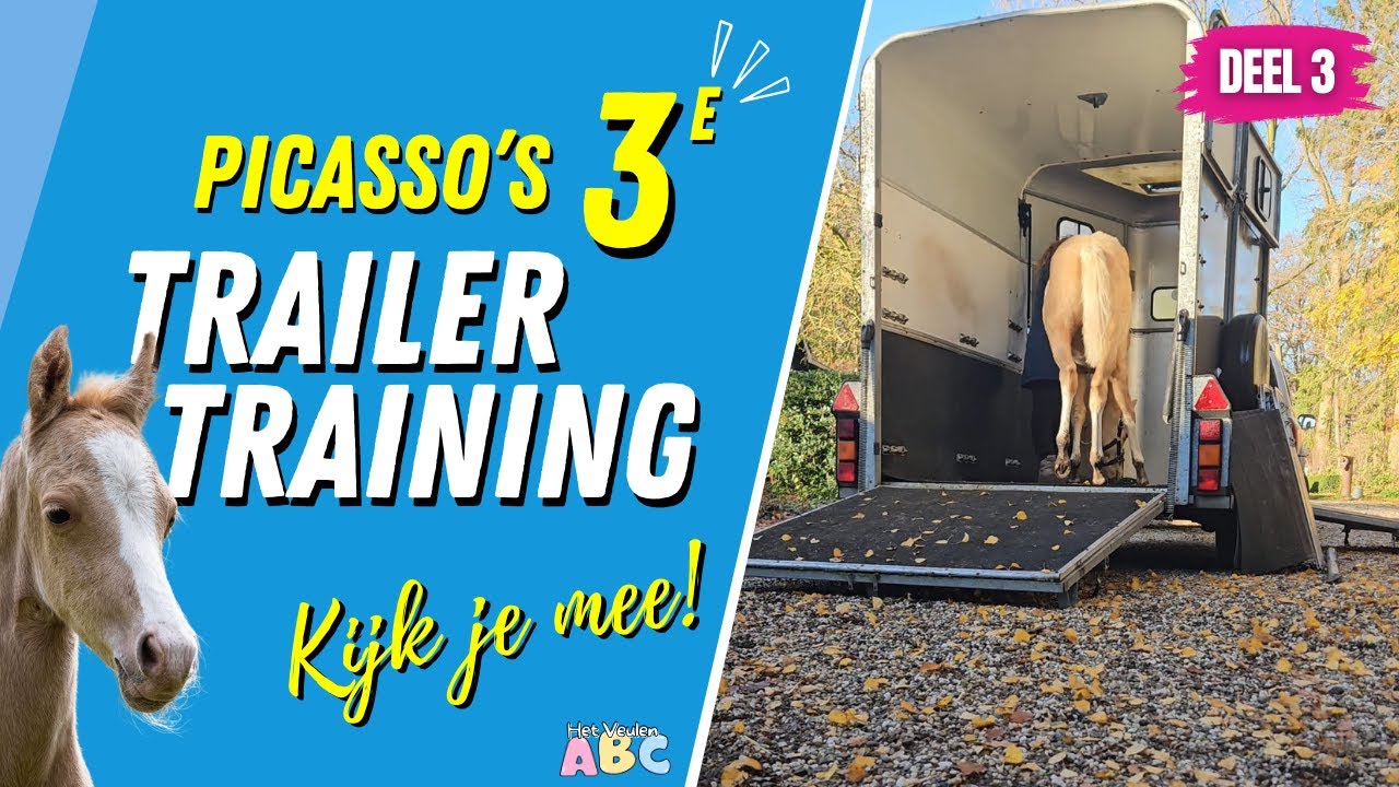 De derde trailertraining van Picasso… en wat een succes! 😁