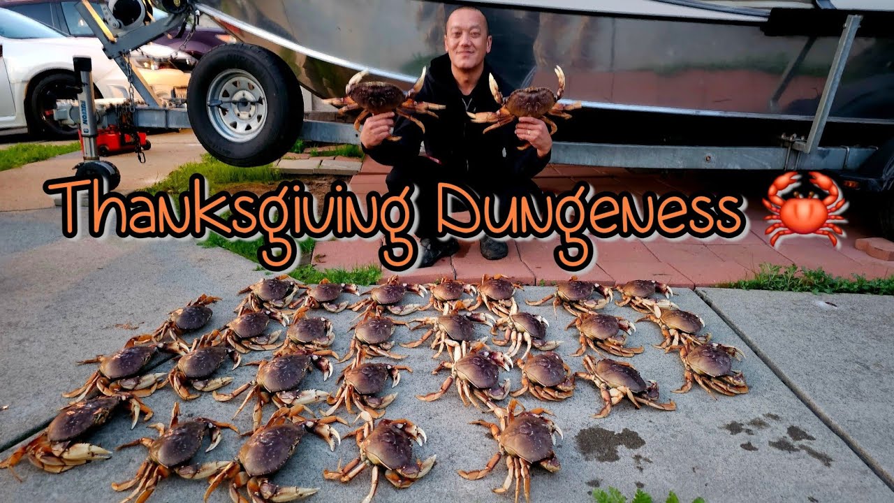 Bodega Bay Dungeness 🦀 | Лимиты гринда для троих #dungenesscrab #bodegabay