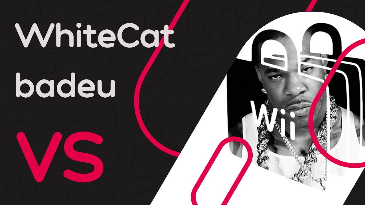 WhiteCat vs badeu // DatManOvaDer - Busta Rhymes Goes To The Wii Shop Channel (Fowwo) [oof]