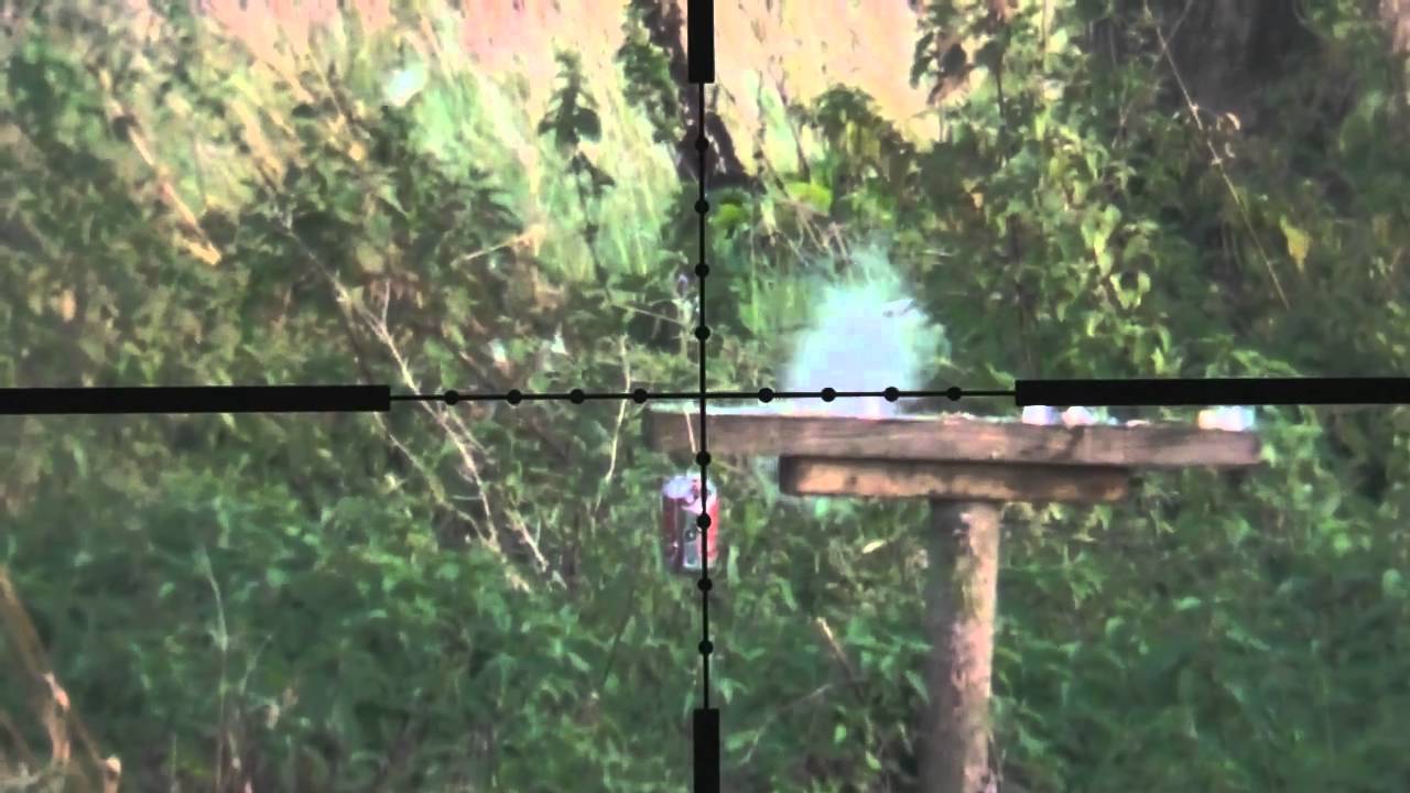 80 and 40 yard shooting with Weihrauch HW100 .177 12ftlbs.