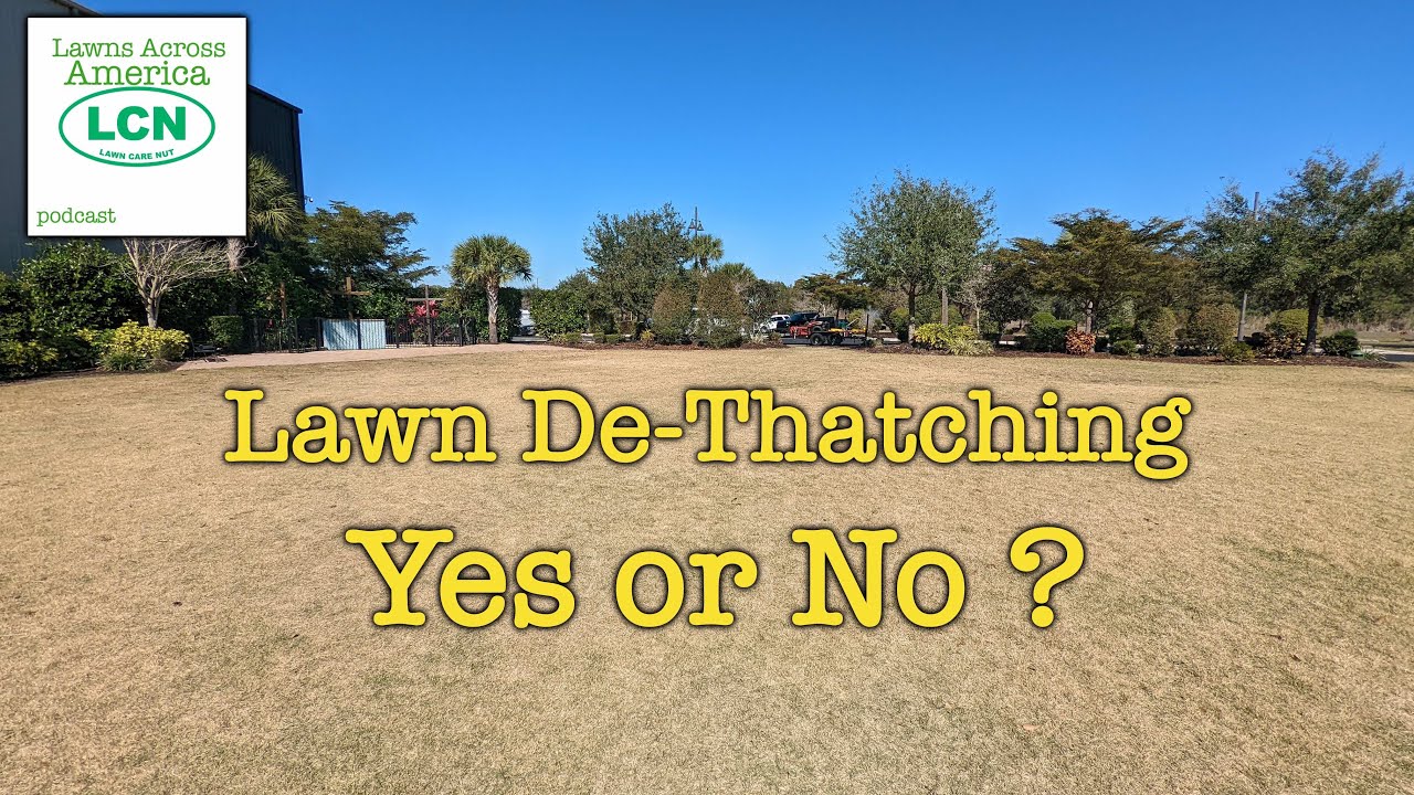 Is Spring De-Thatching Even Needed?