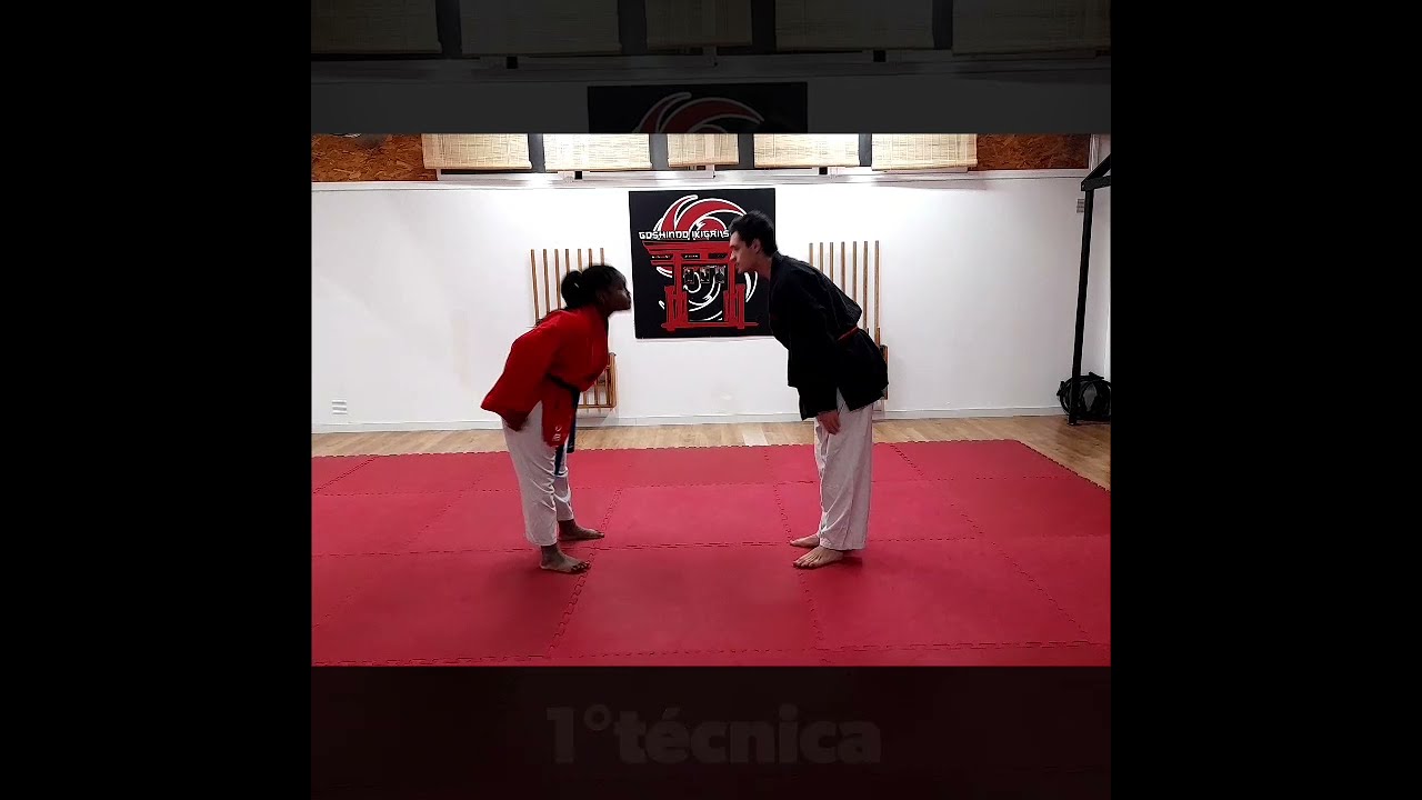 1°serie defensa personal Goshindo Ikigai.