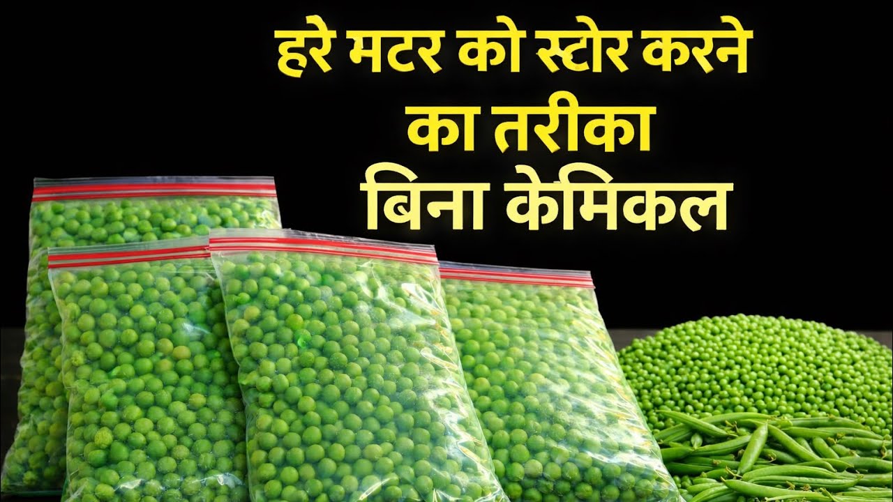 बिना केमिकल 2 साल तक हरे मटर स्टोर करें | सबसे आसान तरीका 