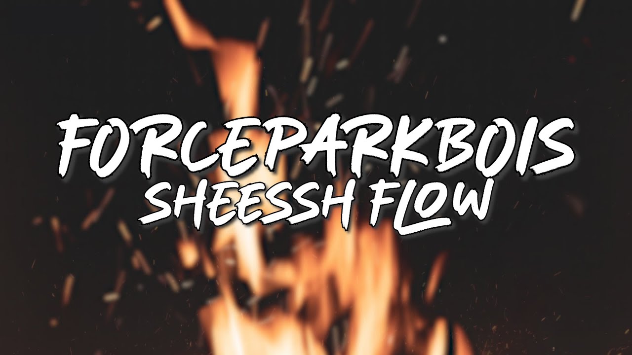 FORCEPARKBOIS - SHEESSH FLOW (Lirik)