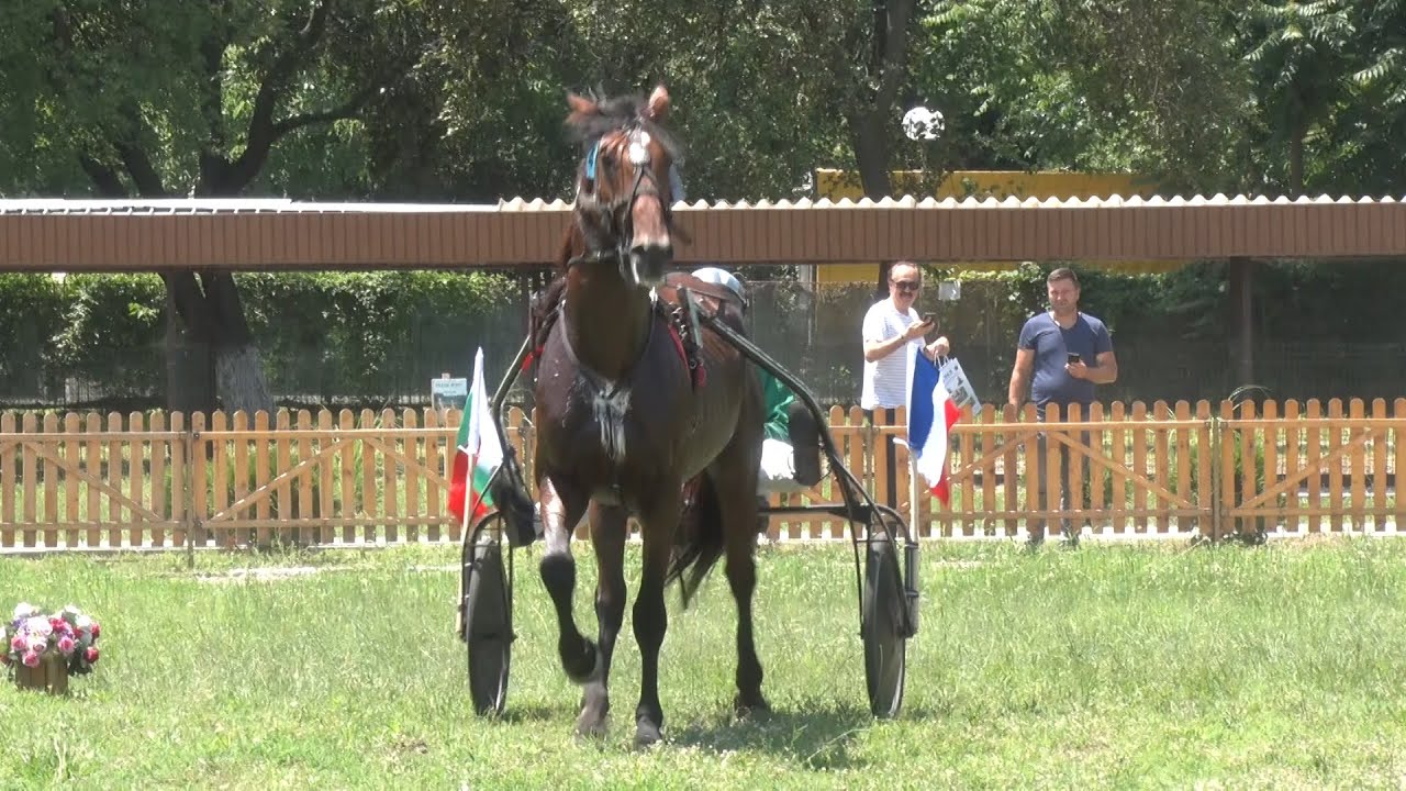 ИЗЛОЖЕНИЕ ФРЕНСКИ РИСАЦИ 2-ра ЧАСТ FRENCH TROTTERS EXHIBITION PART 2