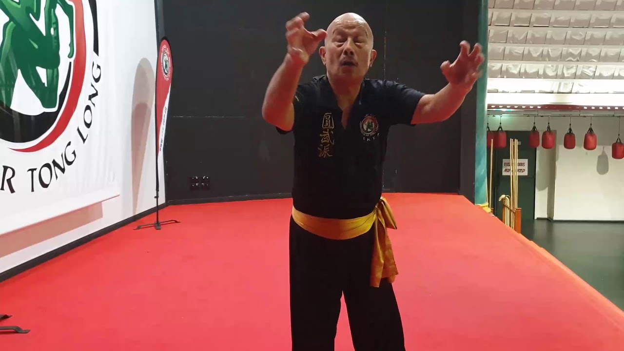 Kung Fu Animals