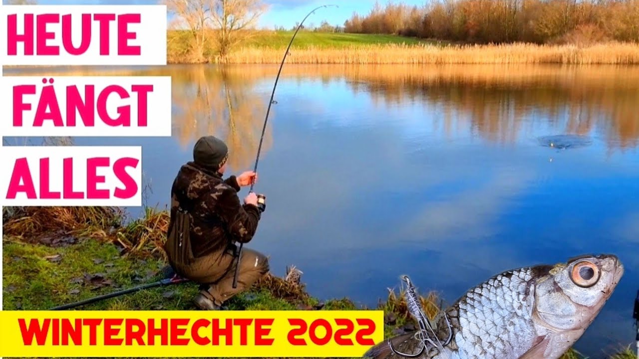 Winterhechte auf Köderfisch mit Erfolg im Dezember 2022. Jede Montage fängt