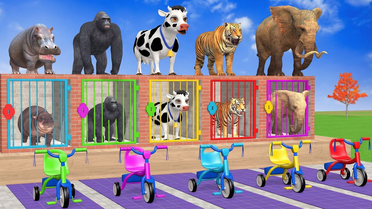 Long Slide Game with Cow Elephant Gorilla Hippopotamus Tiger 3d Animal Game Funny 3d Animals