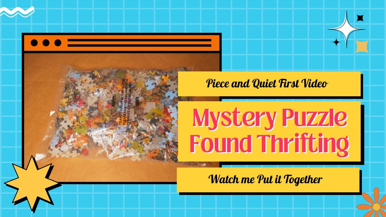 Mystery Thrift Store Puzzle