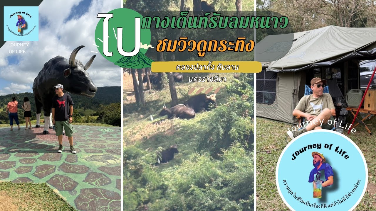 กางเต็นท์หน่วยพิทักษ์อุทยานแห่งชาติเขาใหญ่ที่ ขญ.4 (คลองปลากั้ง)