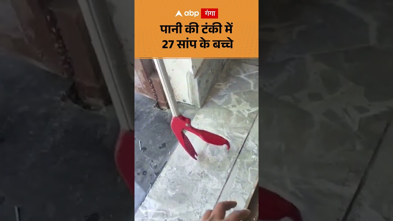Viral Video : पानी की टंकी में 27 सांप के बच्चे | ABP GANGA