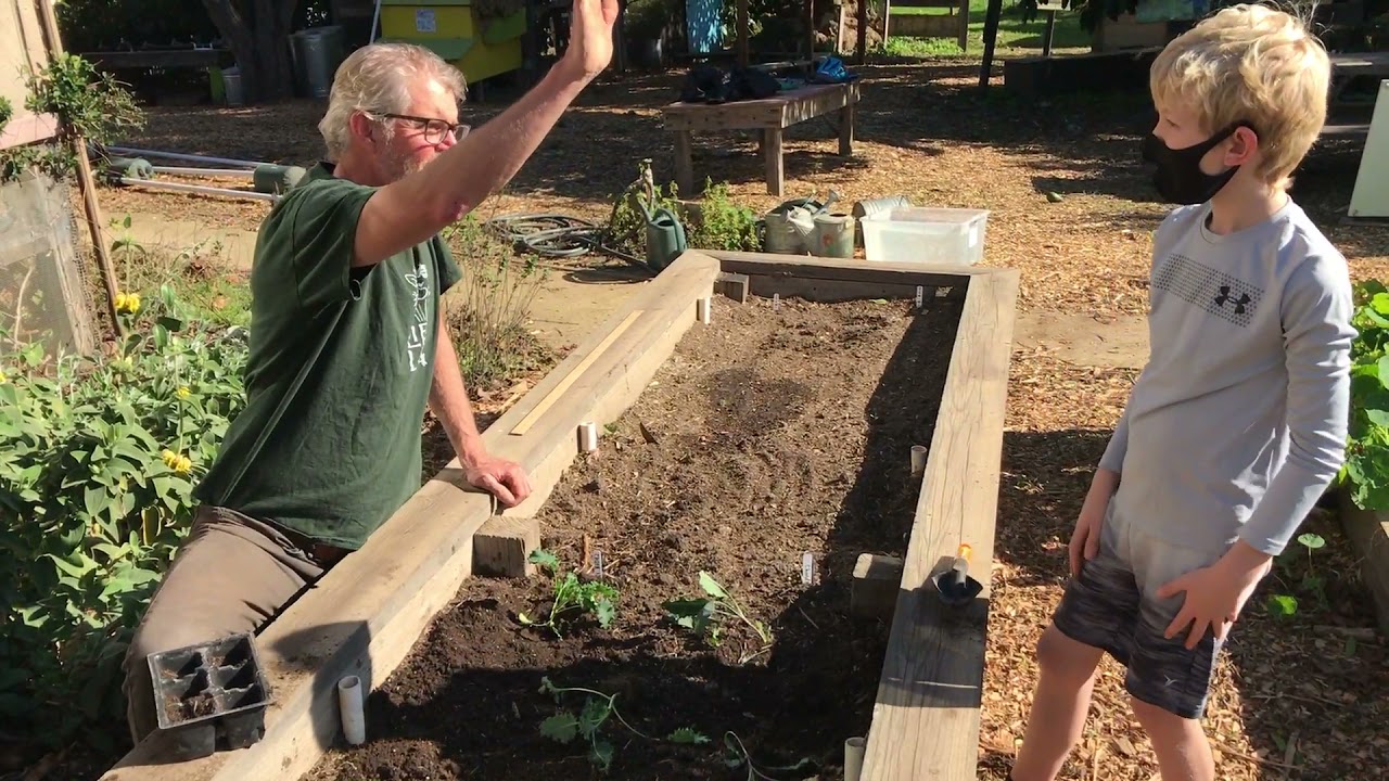 Transplanting and Watering with Kids