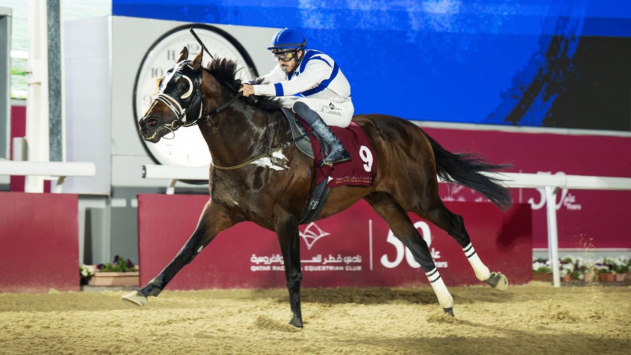 RM 52  Al Rayyan Race 7 -  Al Jumayliyah Cup