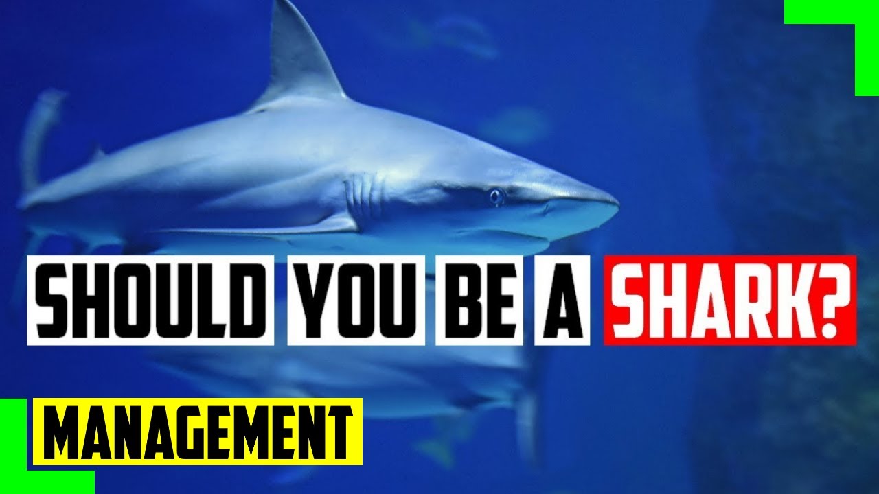 Should You Be A Shark In Business?
