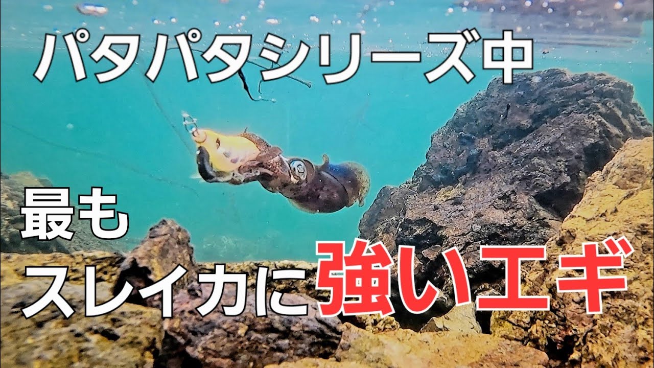【デイエギング】大きな激しゃくりはNG 小さなしゃくりで威力発揮。パタパタシリーズ中スレたアオリイカに強いエギ【イージーQキャストラトル】