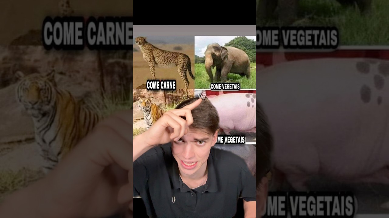 Los Animales Veganos son Obesos 🤯🌿