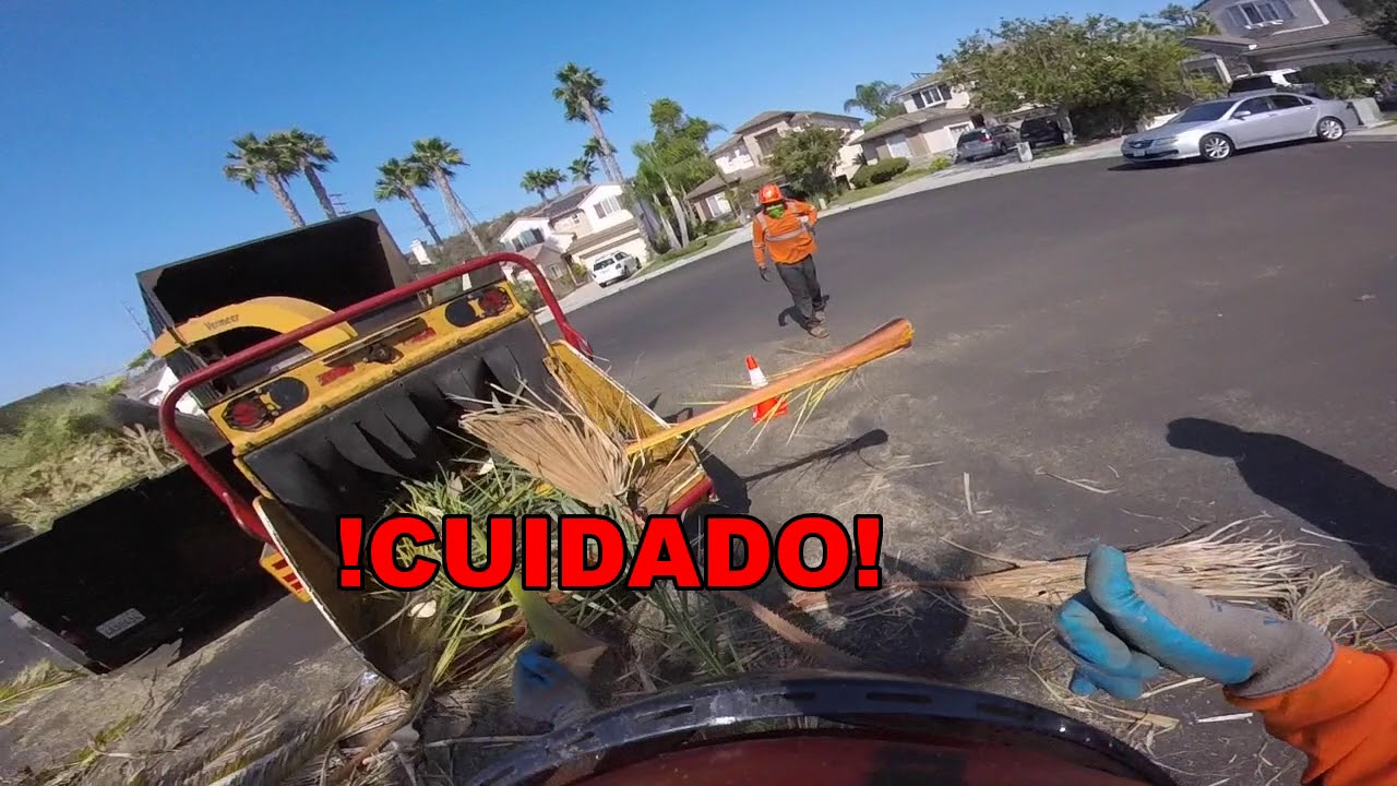 !!!!!ACCIDENT!!!!! chipping palm tree fronds.