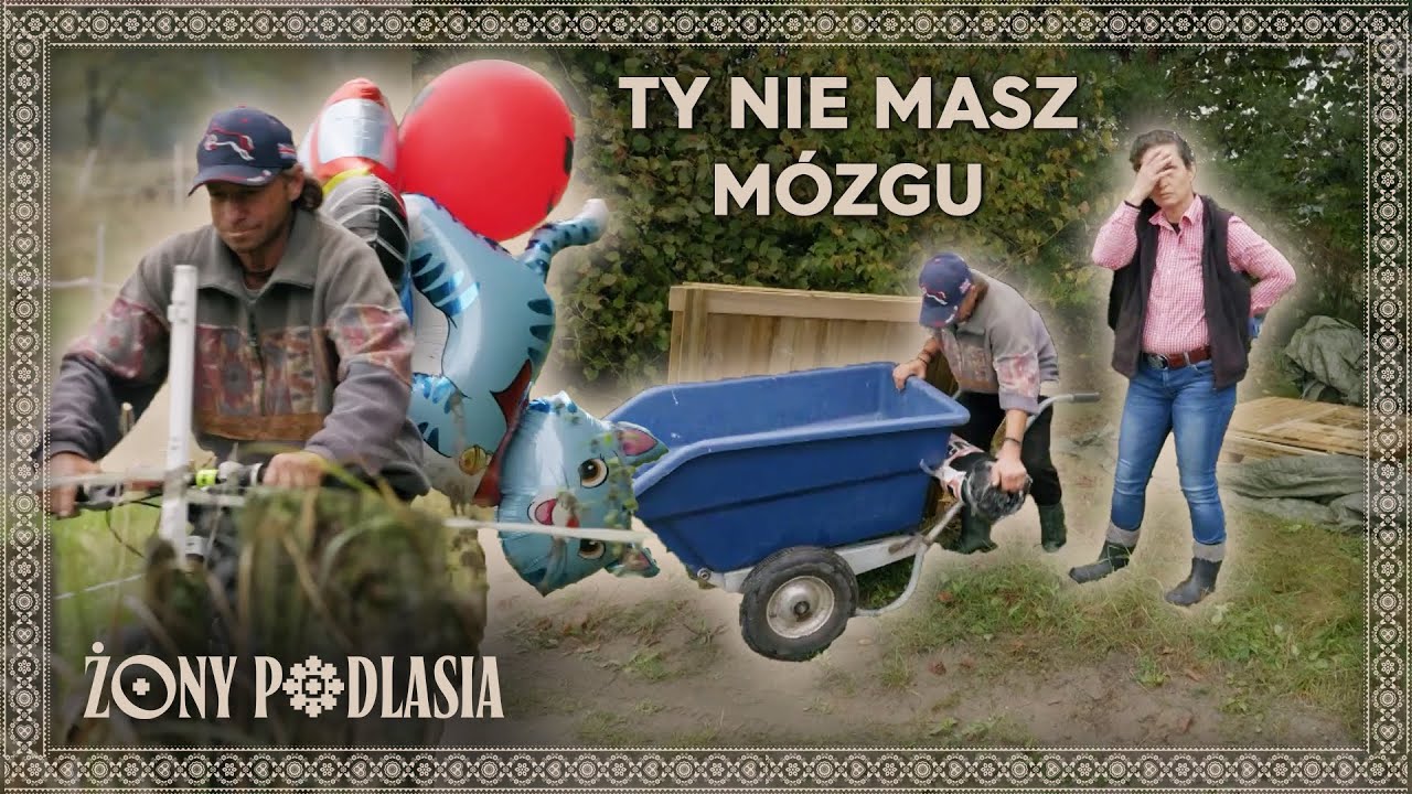 ALDONA NIE MA CIERPLIWOŚCI DO ASHANTIEGO 😂😁 | Żony Podlasia