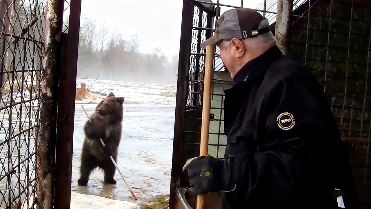 母を亡くした子グマを育て続けた74歳の老人。眠れない子を抱き寄せた夜、ヒグマが見せた行動に涙が止まらない【感動】