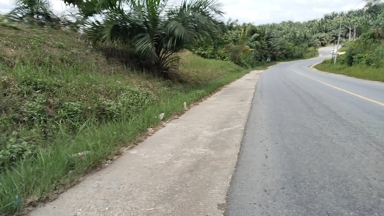 Volga hari ini rute simpang koran tanjung pauh