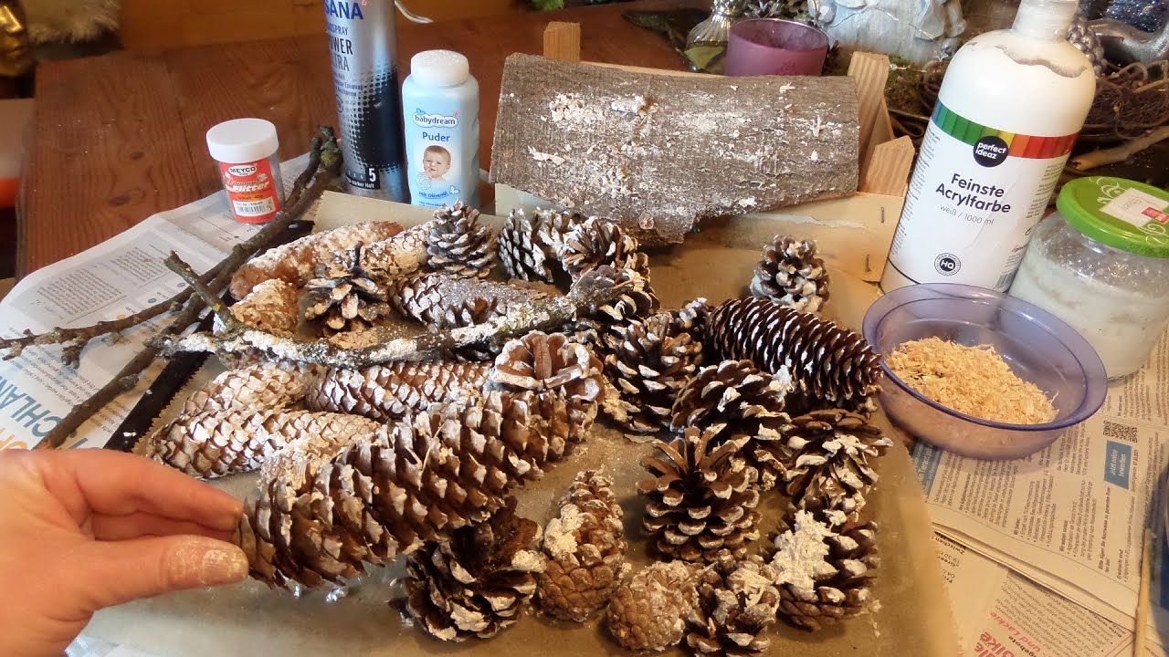 Winter BASTELN: 10 Ideen natürliche ZAPFEN, Äste & Rinde in EIS & SCHNEE -mit Hausmitteln :))
