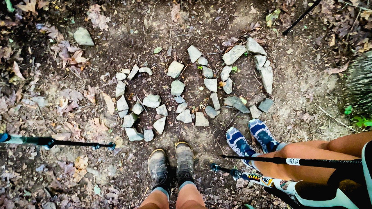 Appalachian Trail: Day 64-65 Bear Garden to 599 to Falls of Dismal