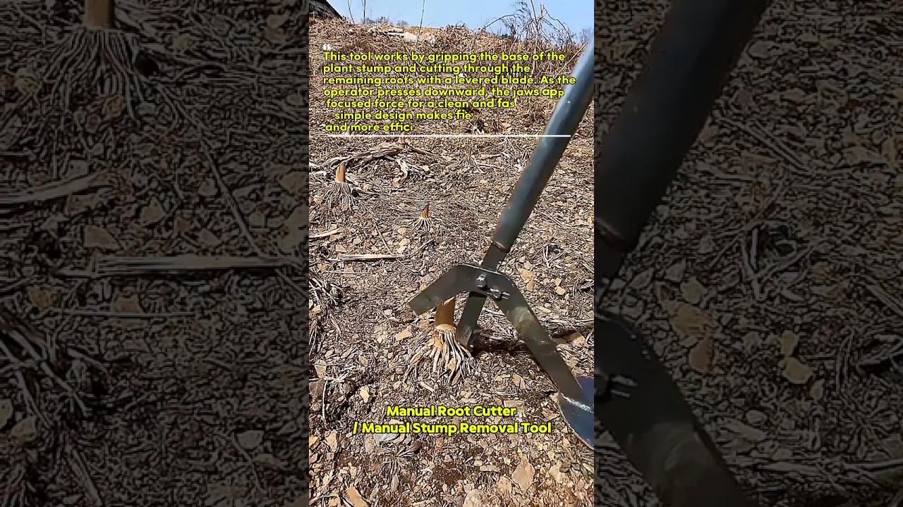 Root Cutter Tool Demo &ndash; Fast Manual Stump Removal #farmingtools #handtool #rootcutter